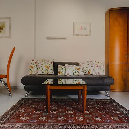 Terrace Apartment Near Volksoper And City Centre Wien Exterior foto